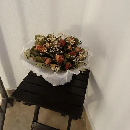 Kuca Za Odmor 